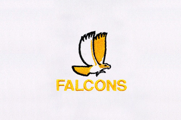 Falcon